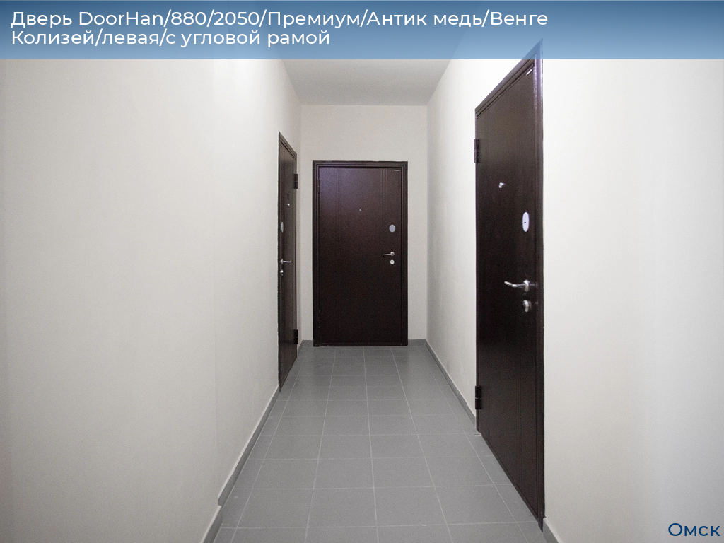 Дверь DoorHan/880/2050/Премиум/Антик медь/Венге Колизей/левая/с угловой рамой, omsk.doorhan.ru
