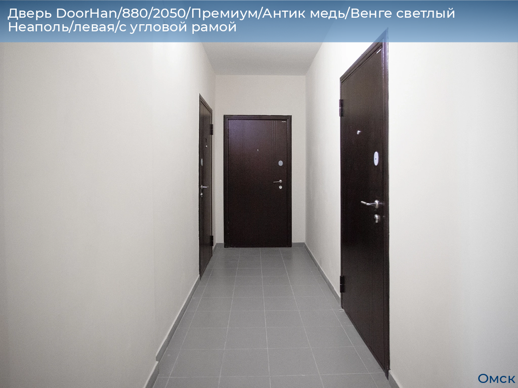 Дверь DoorHan/880/2050/Премиум/Антик медь/Венге светлый Неаполь/левая/с угловой рамой, omsk.doorhan.ru