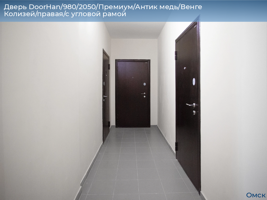 Дверь DoorHan/980/2050/Премиум/Антик медь/Венге Колизей/правая/с угловой рамой, omsk.doorhan.ru