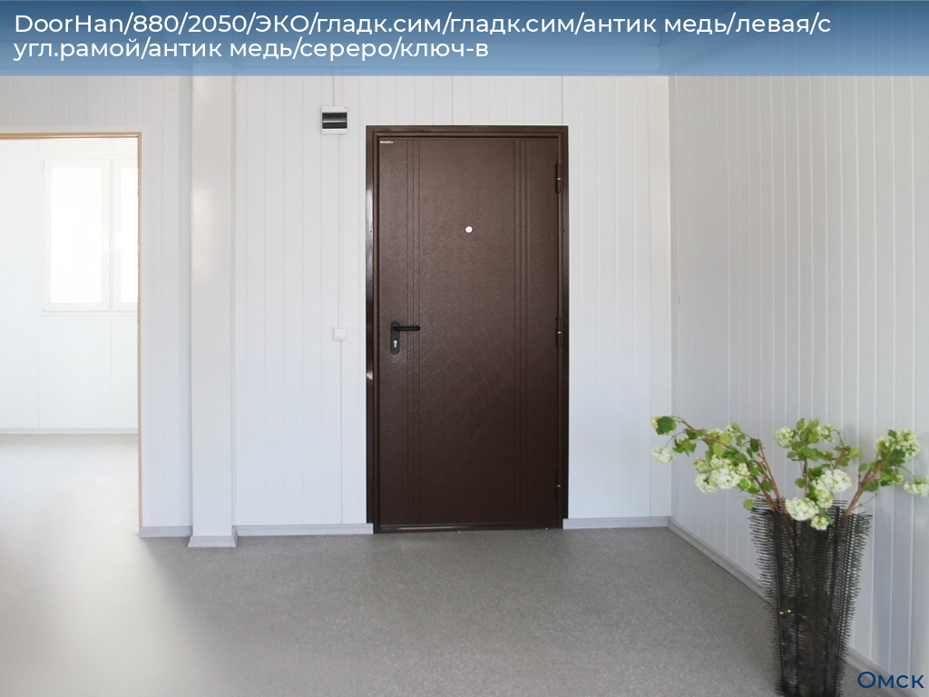 DoorHan/880/2050/ЭКО/гладк.сим/гладк.сим/антик медь/левая/с угл.рамой/антик медь/сереро/ключ-в, omsk.doorhan.ru